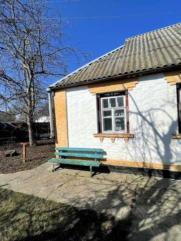 Затишний цегляний будинок із великою ділянкою в Гребінках