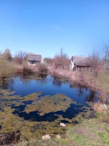 Продається приватизована  дачна ділянка 12 соток з водоймою.