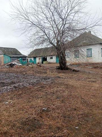 Продам будинок в селі