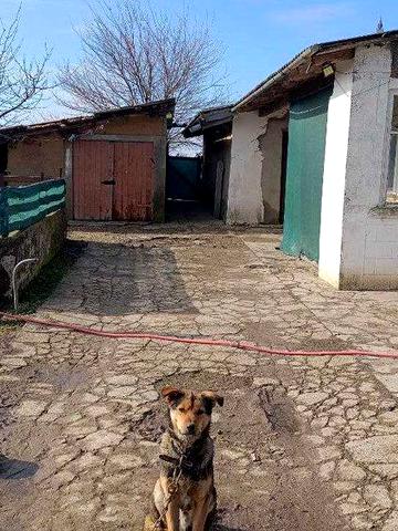 Будинок в селі Удобне (Удобное) Одеської області