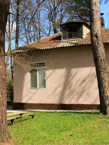 Оренда будинку у лісі с. Орловщина