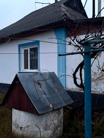 Будинок з меблями та технікою, теплий, газ/піч, сад, виноград