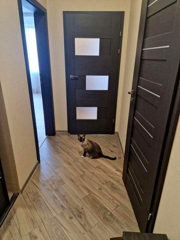 Продаж квартири . Власник Рясне2