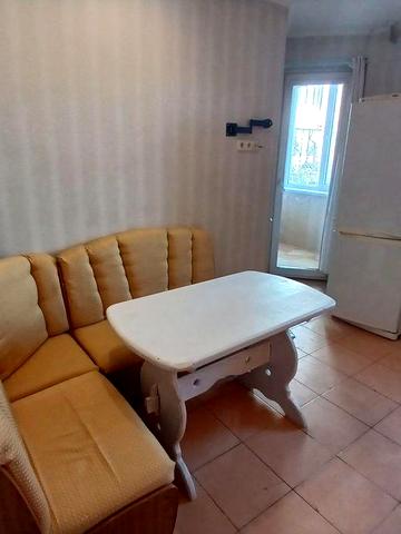 Велика 1 кім. Можна з тваринами.