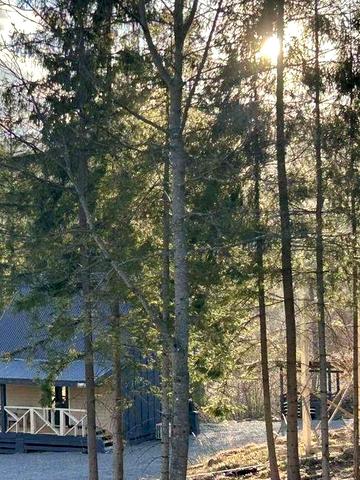 Відпочинок Славське оренда житло будинок котедж з чаном  подобово