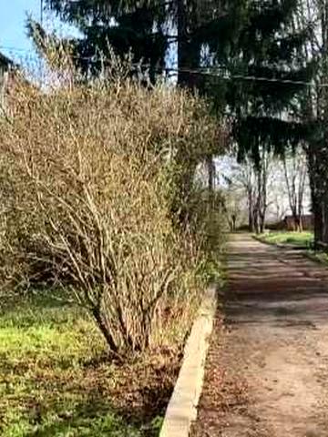 Продам 3 кімнатну квартиру в житловому стані  в с. Таранівка ,своє опалення