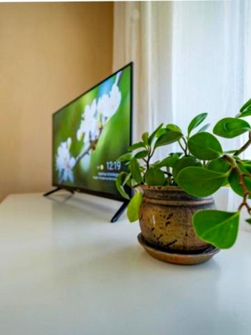 Солнечная набережная