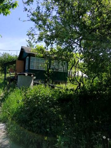 Затишна дача на 7 сотках – ідеальне місце для відпочинку