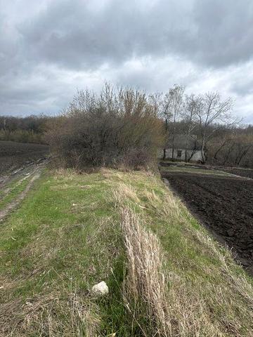 Продаж будинку біля лісу