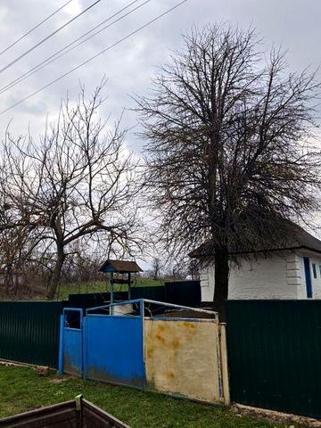 Продається будинок з земельною ділянкою в селі Леухи