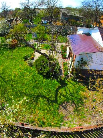 Оренда дачі на Осокорках