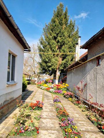 Продається просторий будинок (156 м²) з гаражами та літньою кухнею