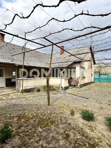 Продається затишний будинок із великою ділянкою в Підвиноградові