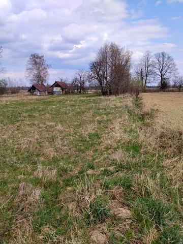 Будинок з ділянкою 37 сотих Карпати