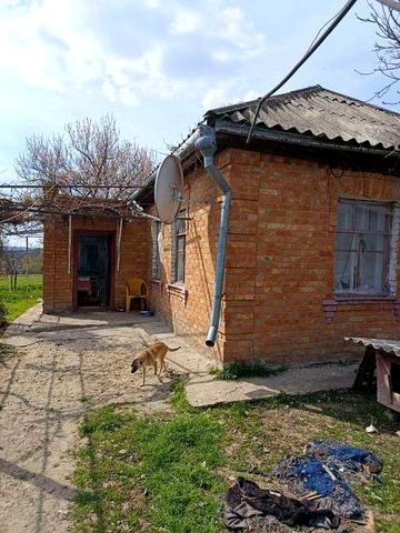 Затишний будинок у селі Троїцьке біля траси Київ - Одеса