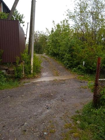 Будинок в селі біля  лісу