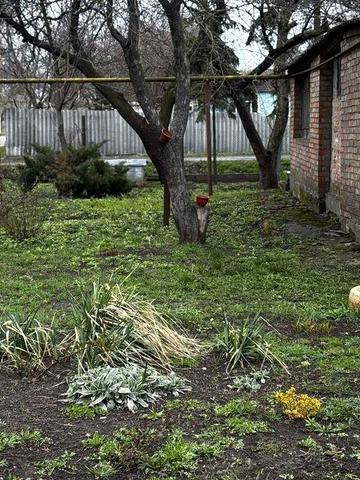 Будинок - квартира аренда на довгий термін