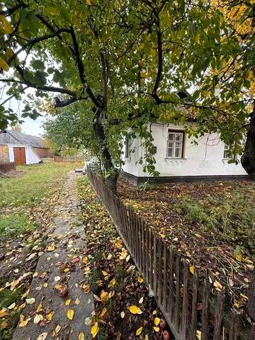 Продаж будинку | Дмитрушки