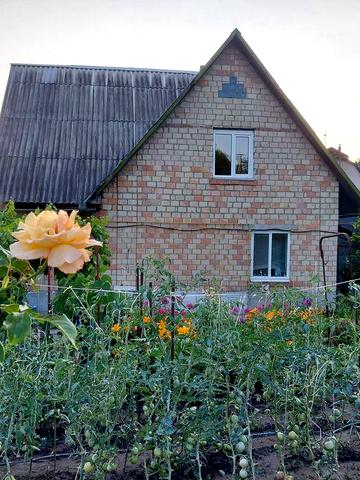 Продаю дачу біля озера та ліса, недалеко від Горбовичей