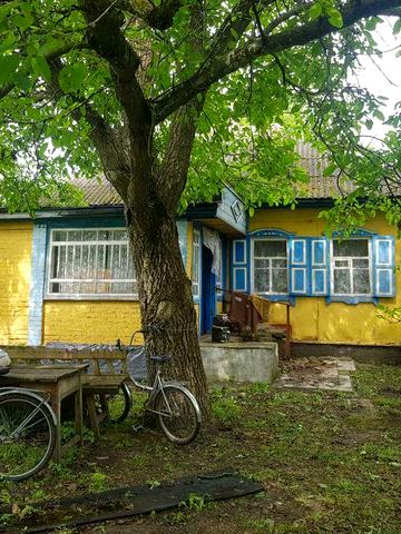ПРОДАЄТЬСЯ будинок в селі з ділянкою 0,90 га (від м. Києва за 138 км)