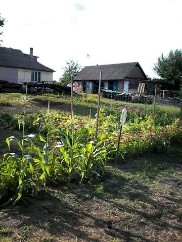 Продаж 4к Дім вулиця Успішна