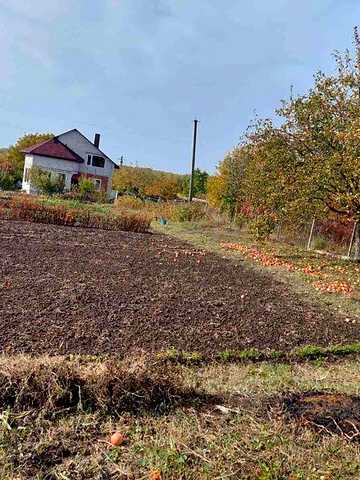 Продаж 5к Дім вулиця Виноградна