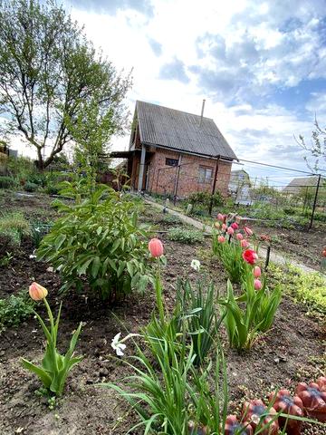 Аренда дачі біля с.Привітне