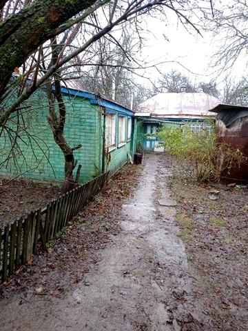 Житловий будинок, флігель, підсобні споруди