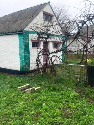 Продаж садиби біля Умані (с. Паланка) — 37 соток із виходом до ставу!