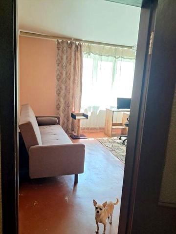 Сдам однокомнатную квартиру