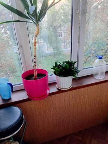 Верховної Ради бульв., 29-А