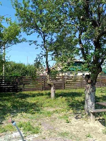 Продам традиційний деревяний будинок біля лісу в Київській області