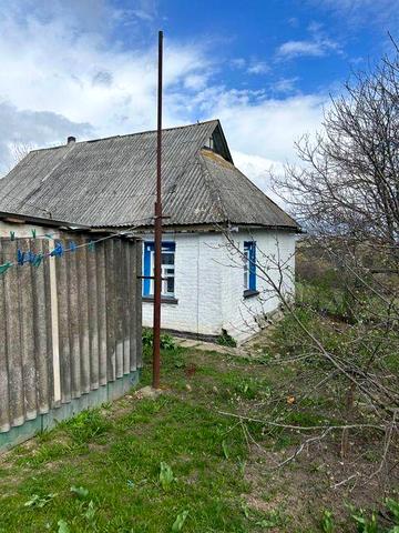 Терміново продам будинок с. Квітки 55 м² з великою ділянкою 0,60 га