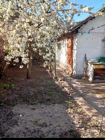 Сдам дом в Днепре