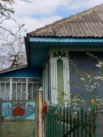 Продається будинок на Бакоті