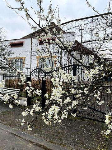 Продам будинок 147 м2 ділянка 7 сот Берегівський район село Гут