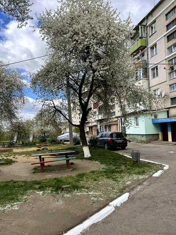 єВідновлення! Сертифікат! Продаж  КВАРТИРИ в центрі Здолбунова 2