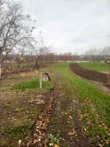 будинок с Германівка