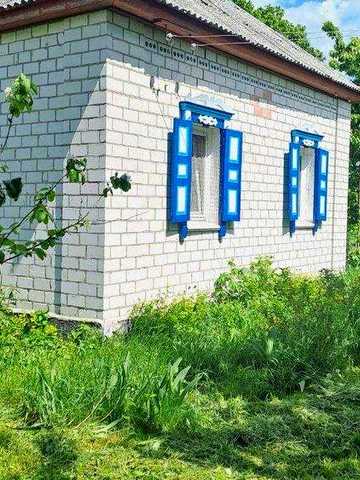 Продається  будинок село Курінь, Чернігівська область