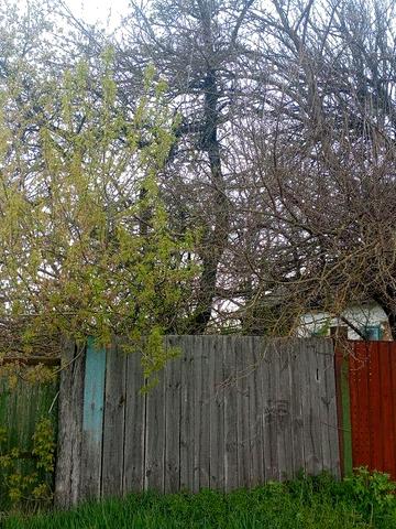 Будинок в нормальному стані