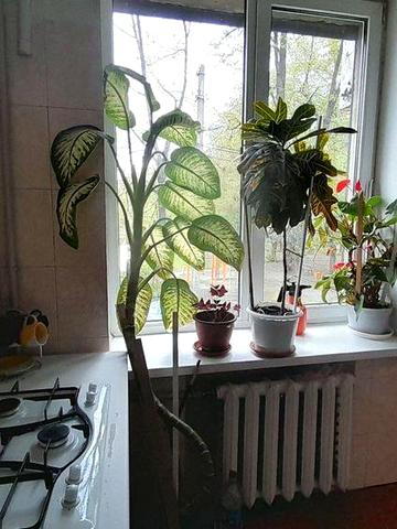 Оренда квартири без меблів.