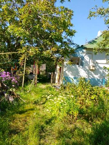 Домик - дача не далеко от Васищево. 17 соток  , газ, вода . Электричество