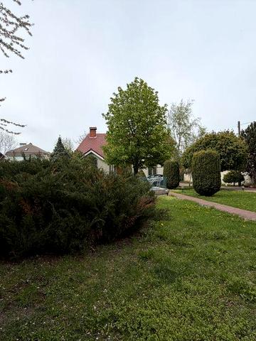 Аренда дома в Одессе . Львовская. 13 ст. Б. Фонтана. Ресторан «Рыба»