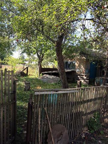 Здам в оренду жилой будинок