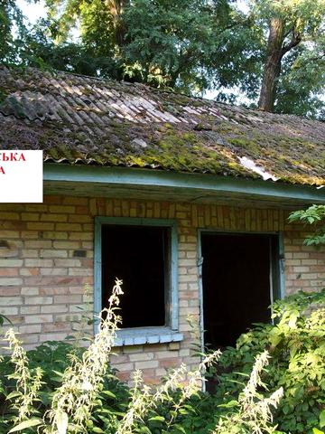 будинок 55 кв.м.+ земельна ділянка 25 соток