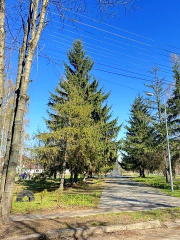 Продаю квартиру Коржі Київська обсласть  площа 61м2, 3-кімнатна квартира 4й поверх індивідуальне газове опалення Житловий стан 29000$