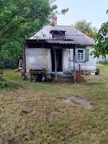 Продам невеликий дім на земельній ділянці.