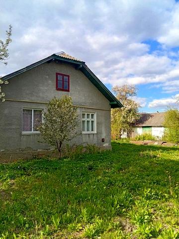 Продаж будинок Гніздичів