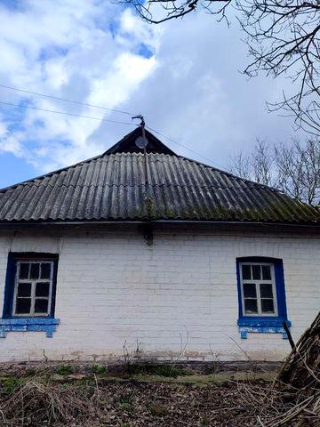 Продається будинок в с. Лісовичі, Білоцерківський район