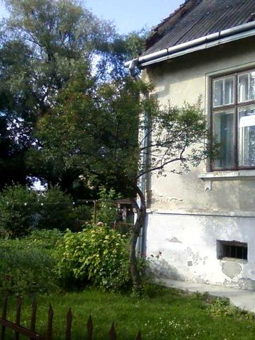Квартира(частина будинку)царський особняк,центр міста